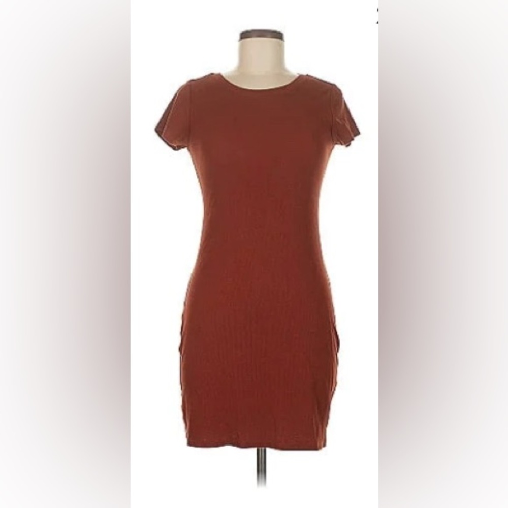 Ultra Flirt Rust Mini Dress